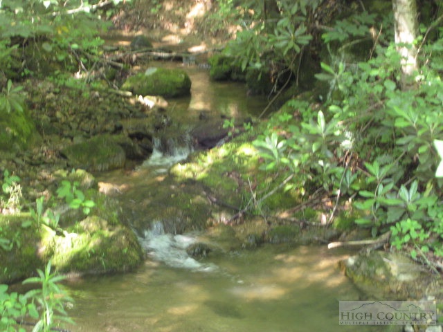 1535 Dark Ridge Road Elk Park, NC 28622 - Photo 6 of 8 a view of a yard