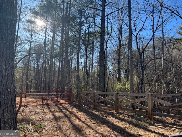 1 Old Miller Rock Road Ellijay, GA 30540 - Photo 4 of 6 a backyard of a house with lots of green space