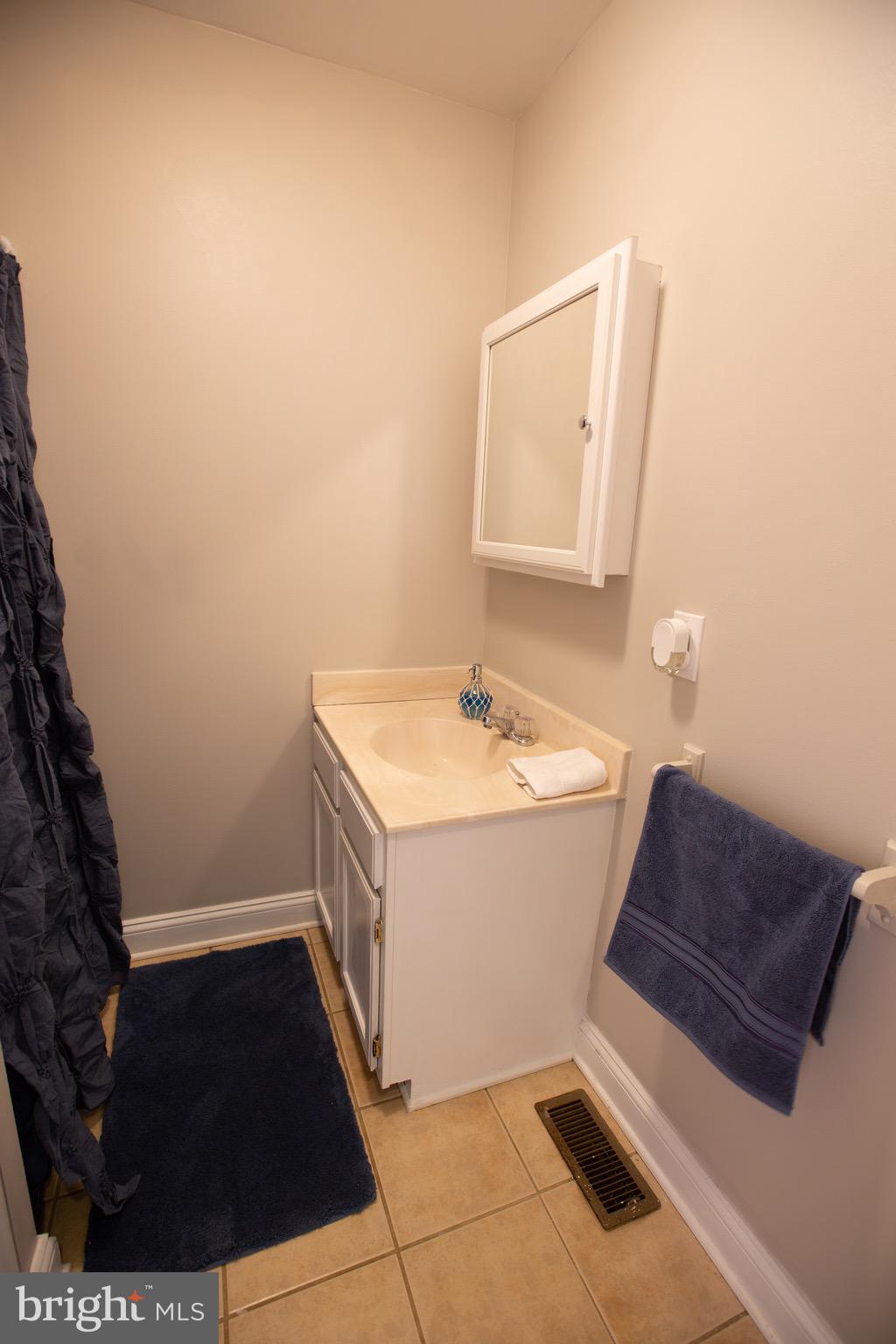 503 Leonard Road Fredericksburg, VA 22405 - Photo 14 of 33 Main Level Full Bath!