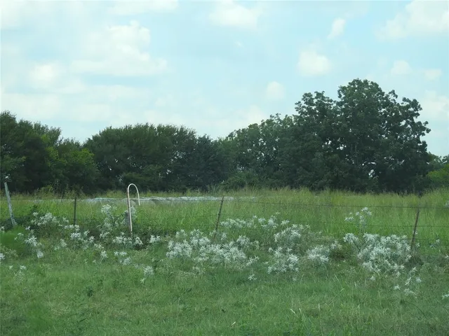 a view of a lush green outdoor space with a lake view