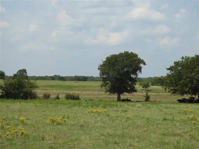 a view of a garden with a lake