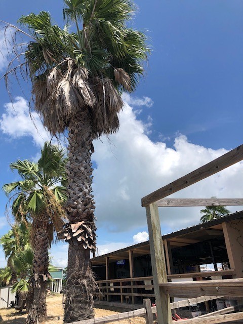 1987 Highway 87 Crystal Beach, TX 77650 - Photo 20 of 48