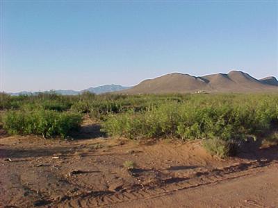 0 West Fawn Ranch Road Pearce, AZ 85625 - Photo 5 of 7