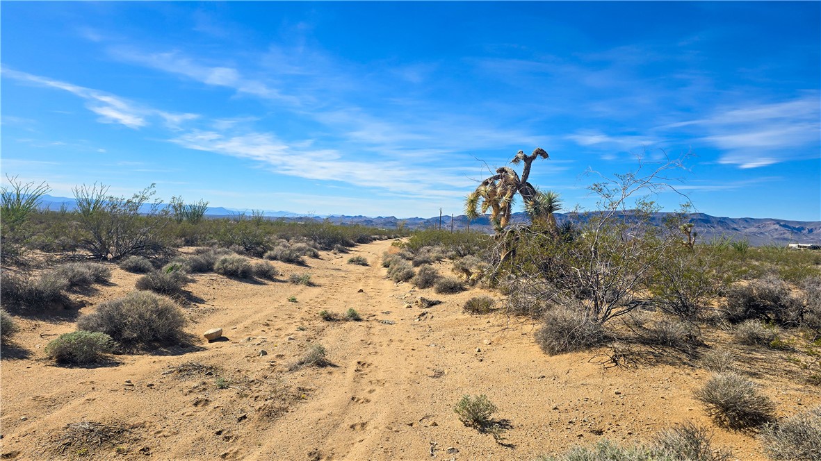 245-21-008 South Ray Road Yucca, AZ 86438 - Photo 13 of 19