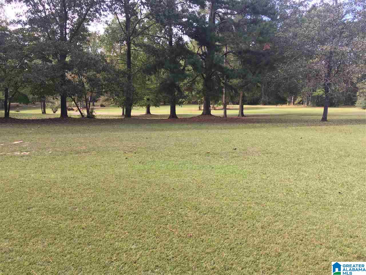 1480 Gardner Road Mount Olive, AL 35117 - Photo 4 of 50