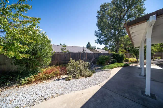 a view of a park with plants and a bench