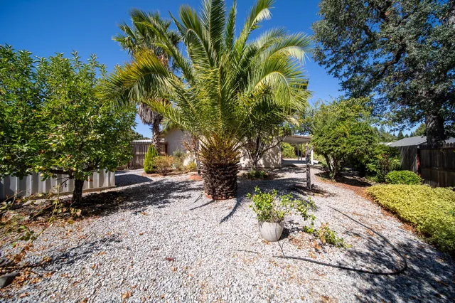 a garden with trees in front of it