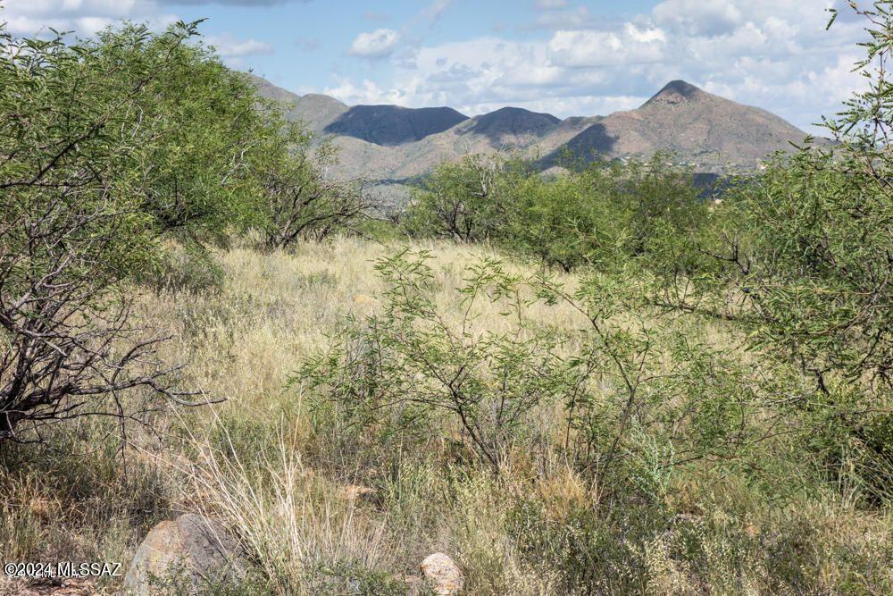 1227 Calle Cherokee, Unit 44 Rio Rico, AZ 85648 - Photo 3 of 6