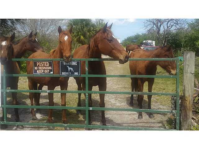 0 Russos Road Fort Pierce, FL 34951 - Photo 18 of 18 land23