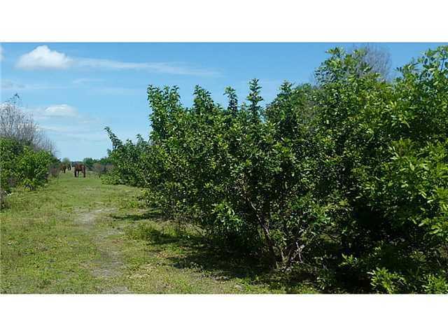 0 Russos Road Fort Pierce, FL 34951 - Photo 4 of 18 land4