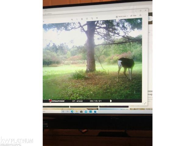 0 Burton Road Capac, MI 48014 - Photo 2 of 5