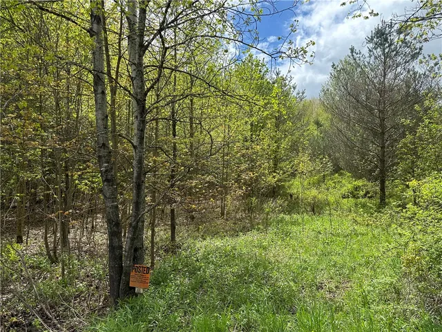 $40,000 | 0 Pine Tree Road, New Berlin, NY 13411