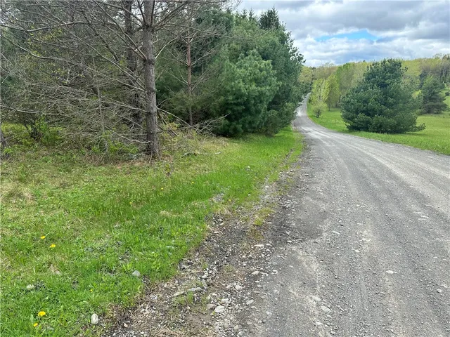 $40,000 | 0 Pine Tree Road, New Berlin, NY 13411