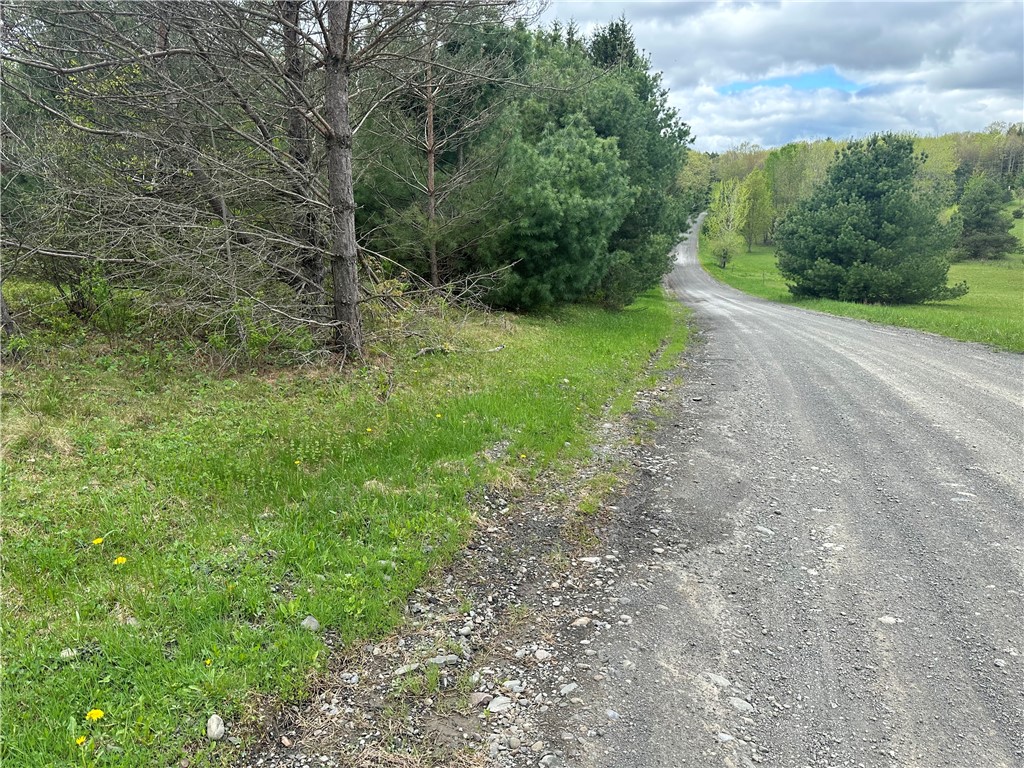 0 Pine Tree Road New Berlin, NY 13411 - Photo 3 of 10