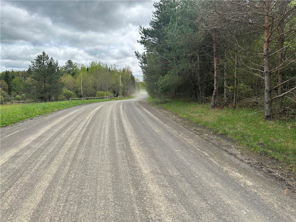 0 Pine Tree Road New Berlin, NY 13411 - Photo 4 of 10