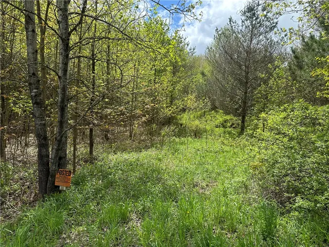 $40,000 | 0 Pine Tree Road, New Berlin, NY 13411