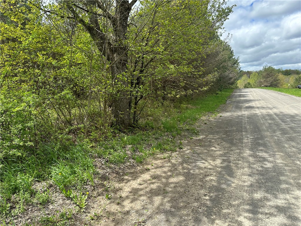 0 Pine Tree Road New Berlin, NY 13411 - Photo 6 of 10