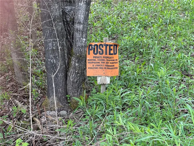 $40,000 | 0 Pine Tree Road, New Berlin, NY 13411