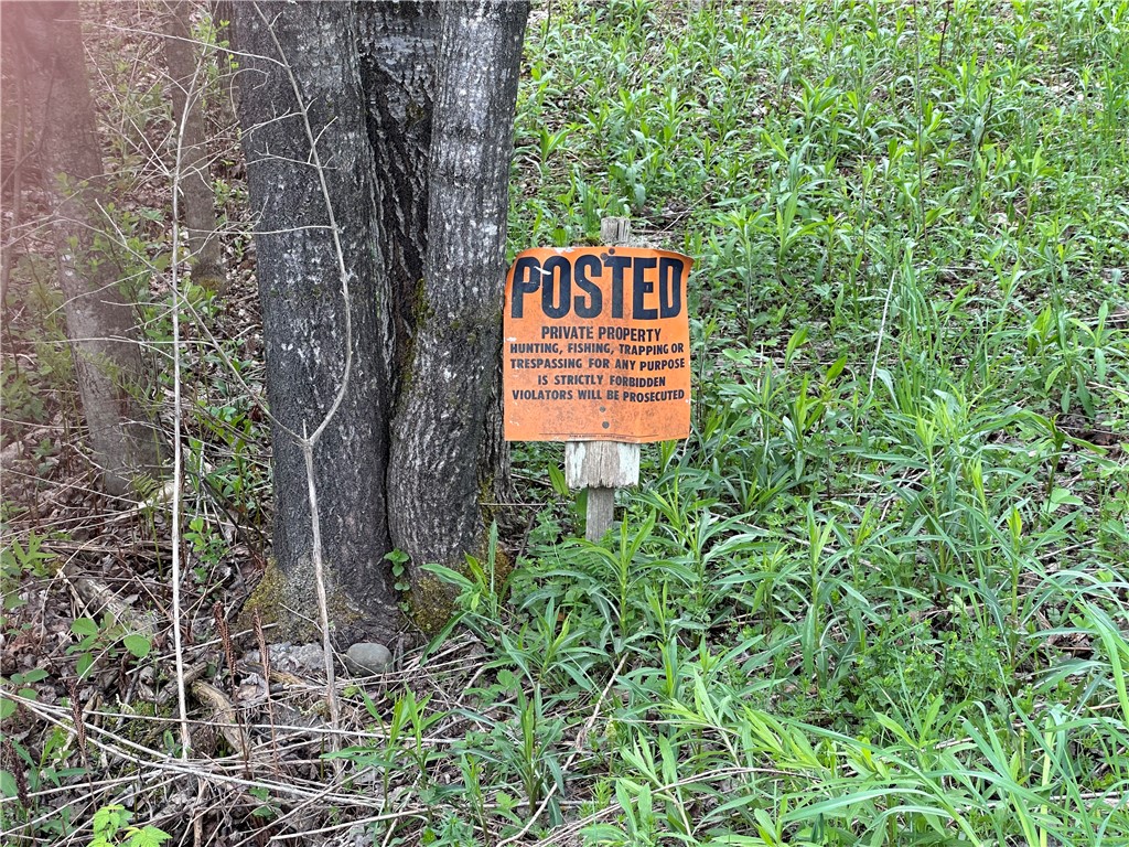 0 Pine Tree Road New Berlin, NY 13411 - Photo 7 of 10