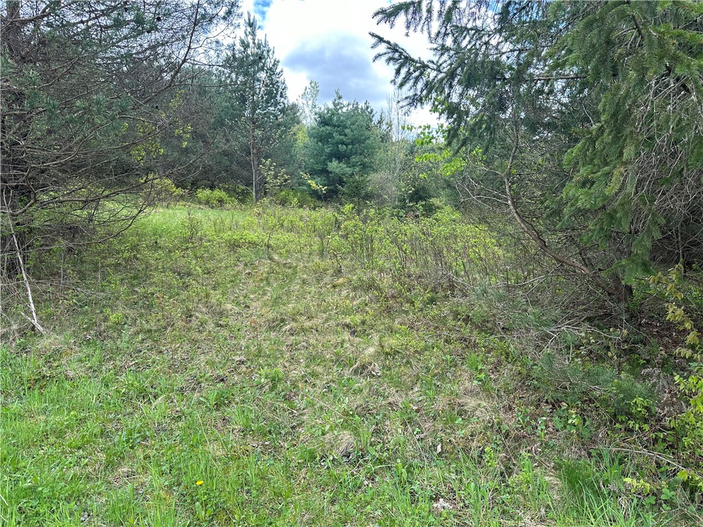 0 Pine Tree Road New Berlin, NY 13411 - Photo 8 of 10