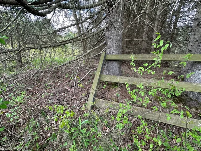 $40,000 | 0 Pine Tree Road, New Berlin, NY 13411