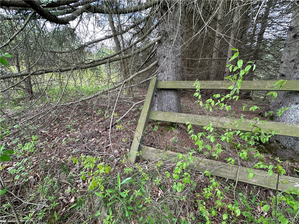 0 Pine Tree Road New Berlin, NY 13411 - Photo 9 of 10