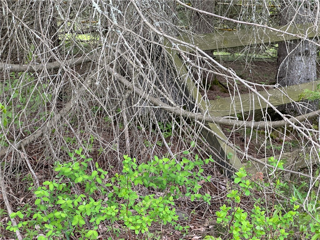 0 Pine Tree Road New Berlin, NY 13411 - Photo 10 of 10