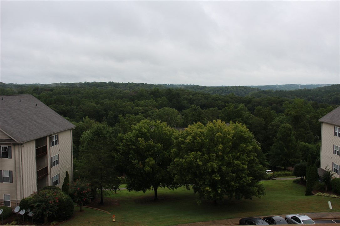 1432 Harts Ridge Drive Seneca, SC 29678 - Photo 25 of 40 Gallery Image 25