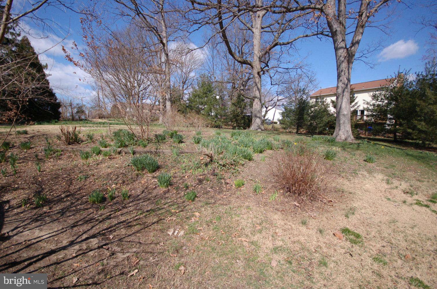 3124 Castleleigh Road Silver Spring, MD 20904 - Photo 28 of 30 Exterior (Rear)