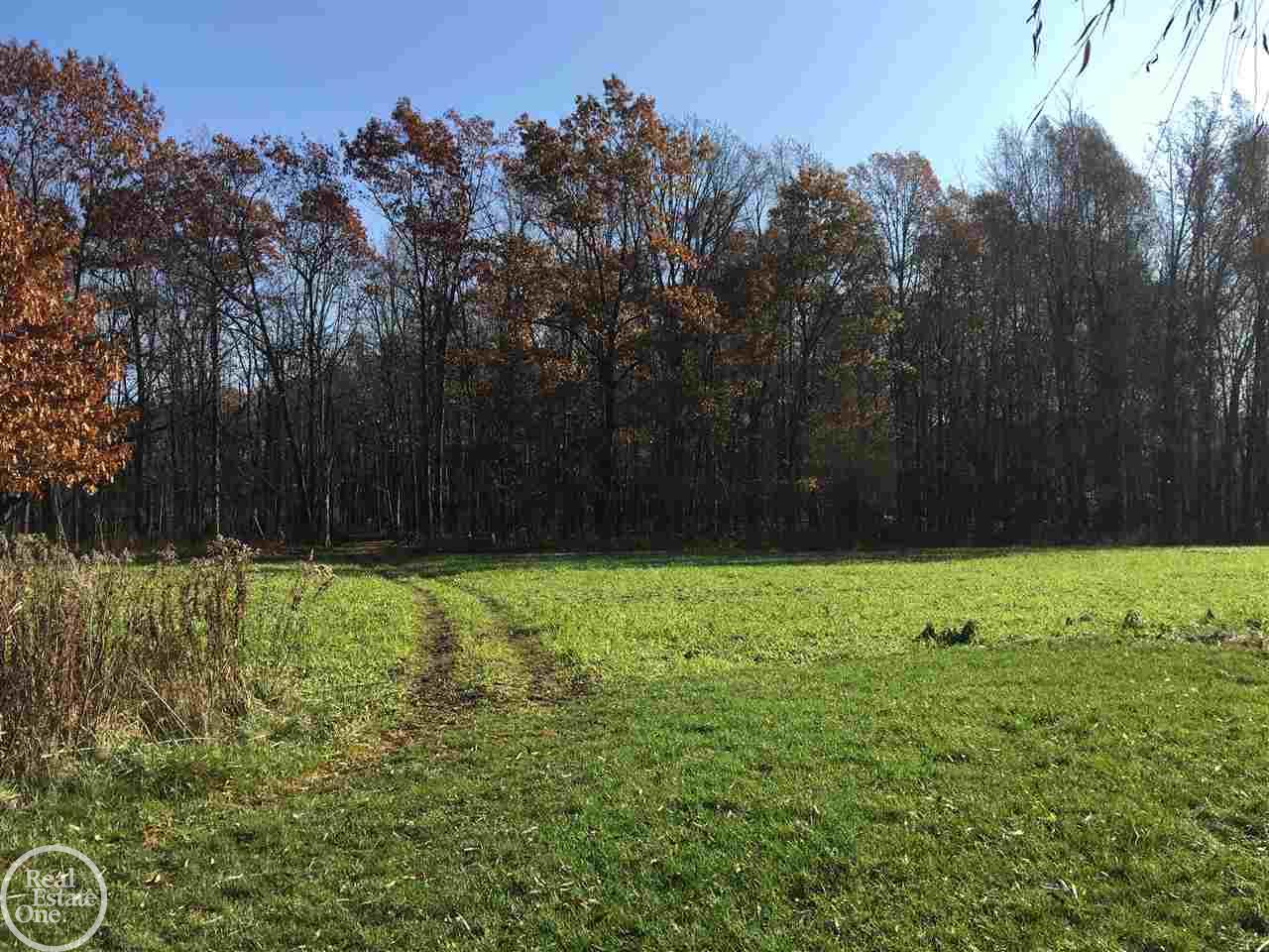 4213 Hosner Road Metamora, MI 48455 - Photo 53 of 57