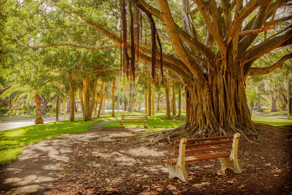 1190 Euclid Road Venice, FL 34293 - Photo 62 of 100 a view of a backyard