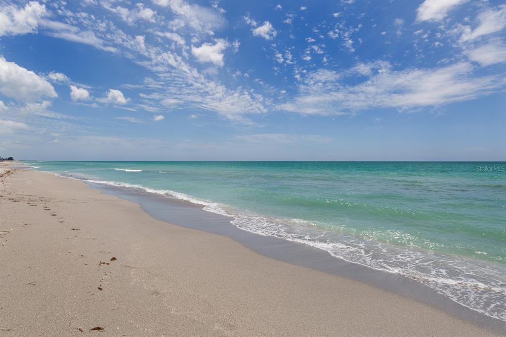 1190 Euclid Road Venice, FL 34293 - Photo 66 of 100 a view of a beach with an ocean view