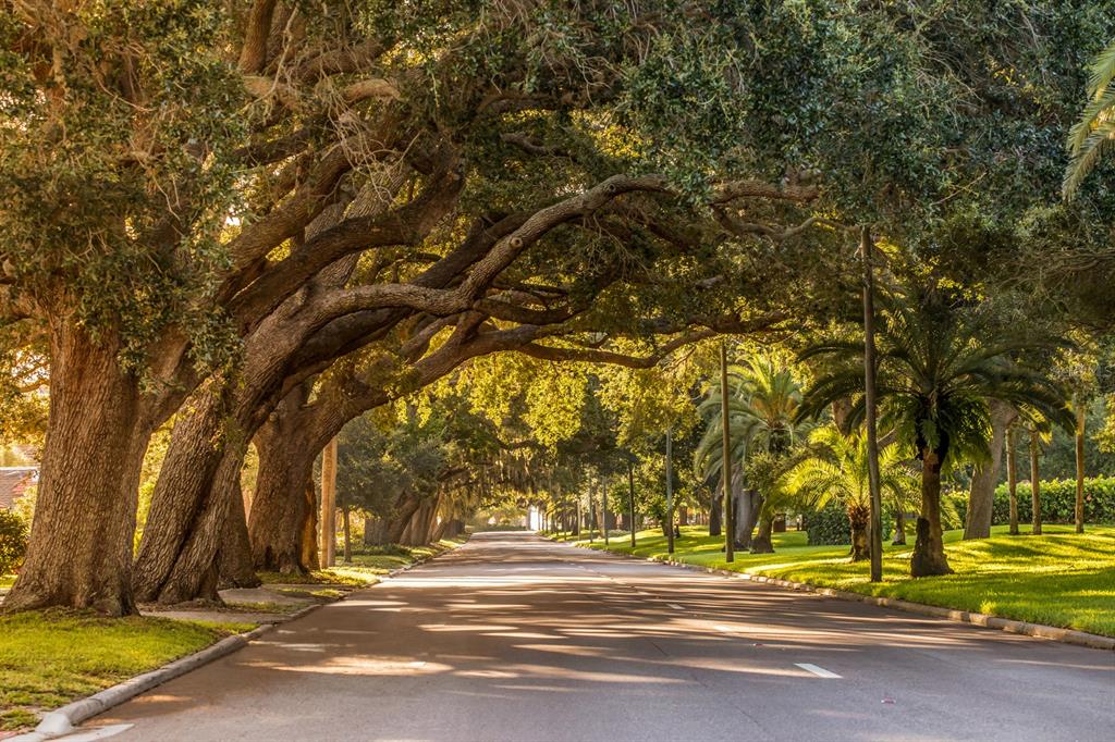1190 Euclid Road Venice, FL 34293 - Photo 73 of 100 a view of street along with trees