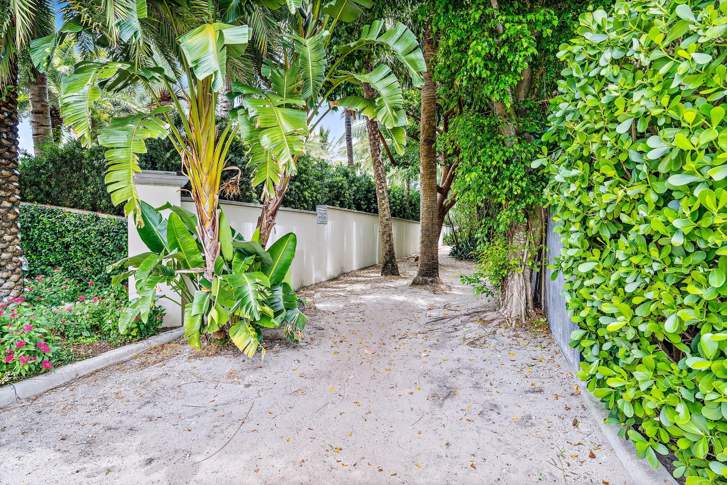 300 Indian Road Palm Beach, FL 33480 - Photo 40 of 42 a view of a yard with plants and large trees