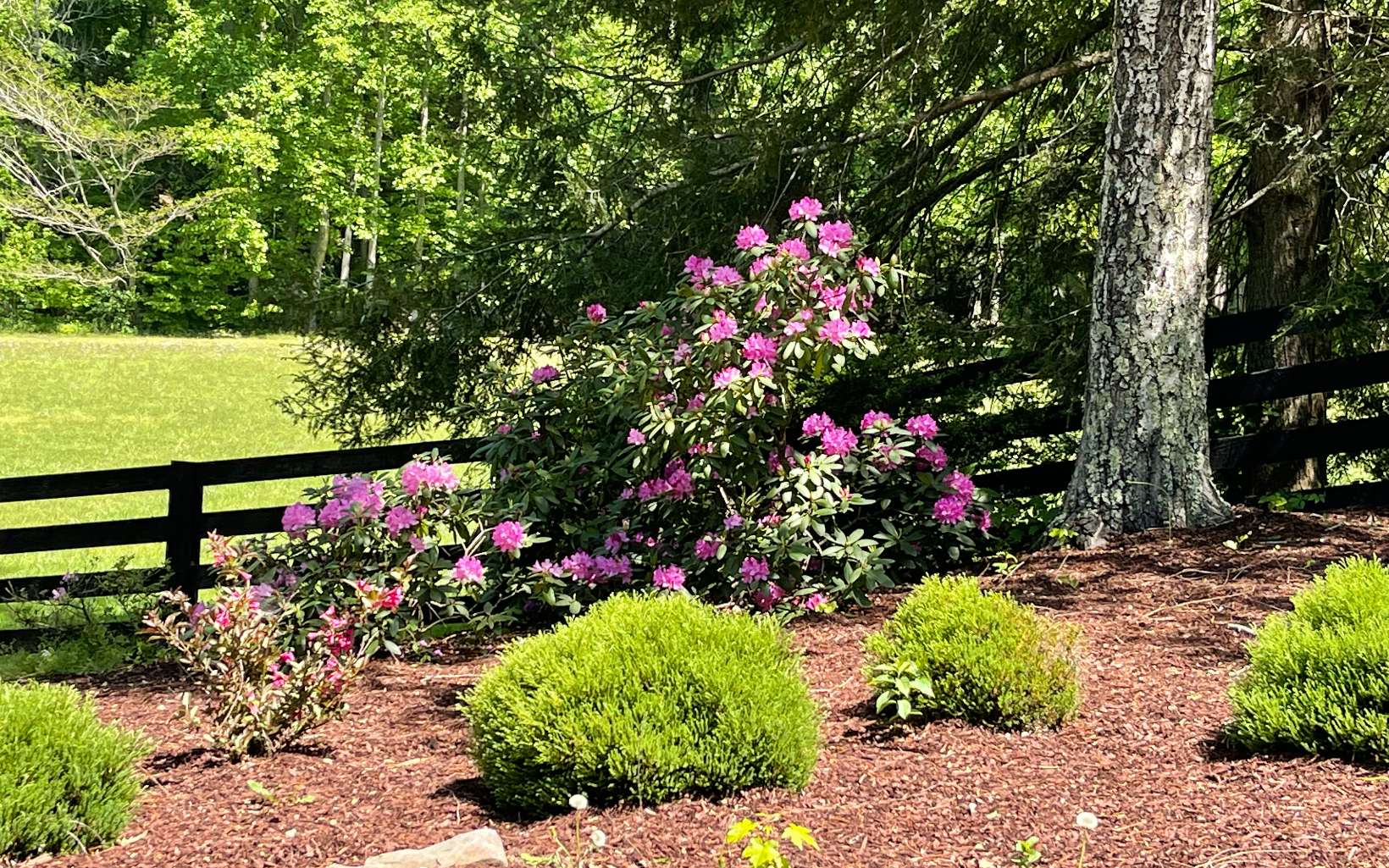 Lot 2 Old Fain Road Murphy, NC 28906 - Photo 4 of 15 Additional View