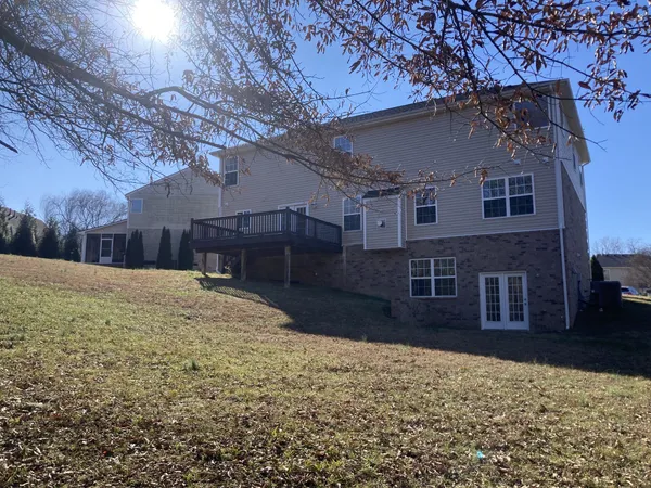 a view of a yard with large trees