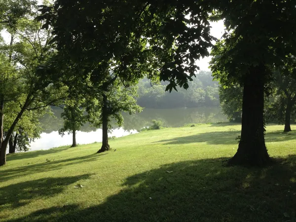 an outdoor view