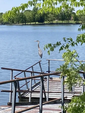a view of a lake with outdoor space