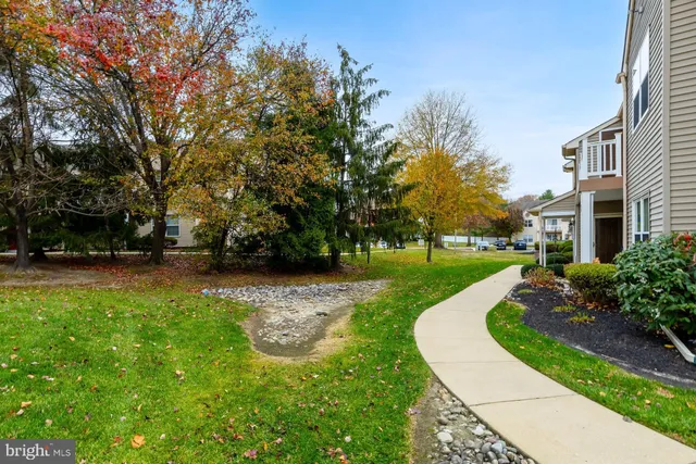 a view of a park with large trees