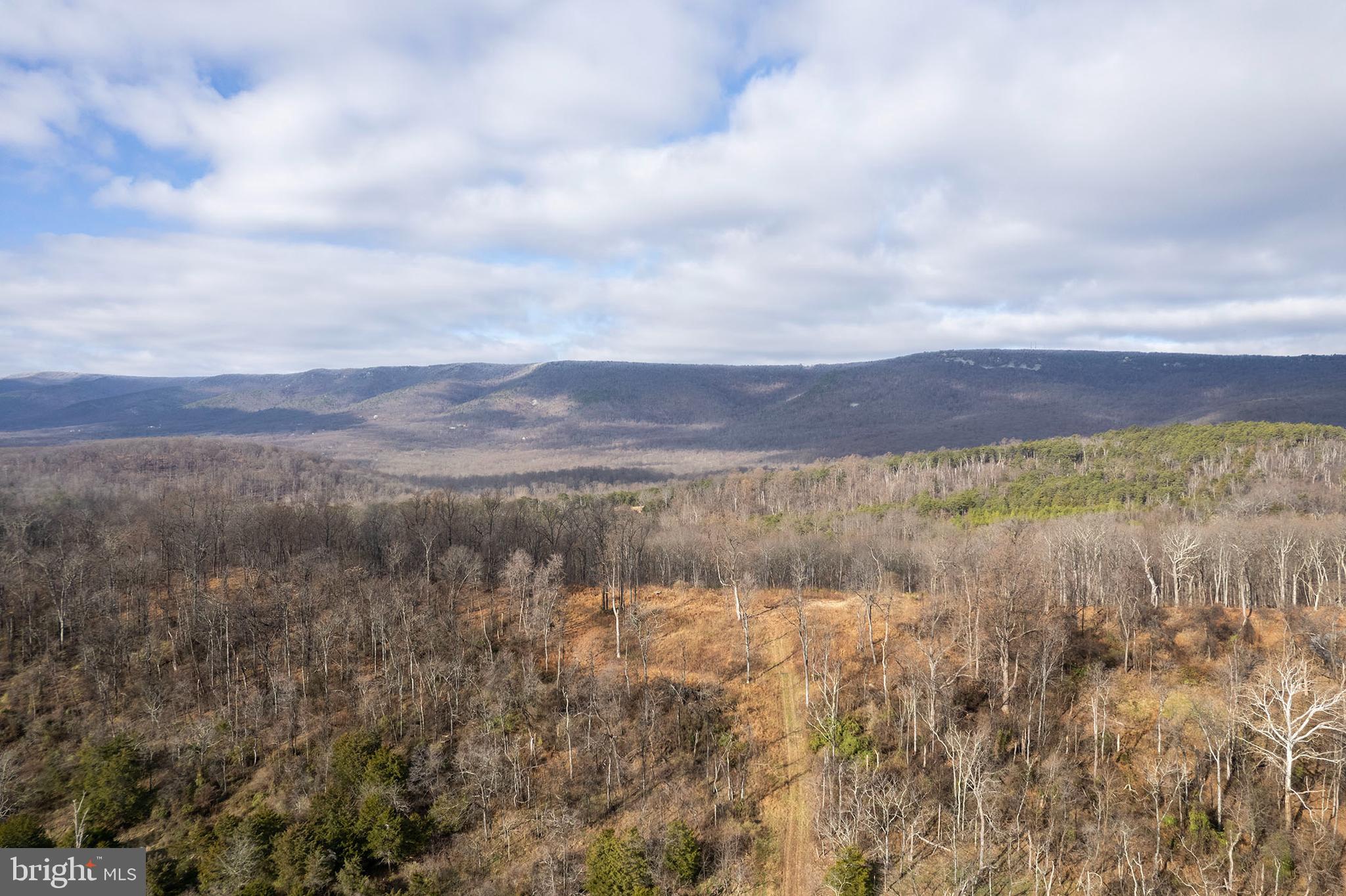 Back Mountain Road Winchester, VA 22602 - Photo 11 of 12 a view of a lake and mountain