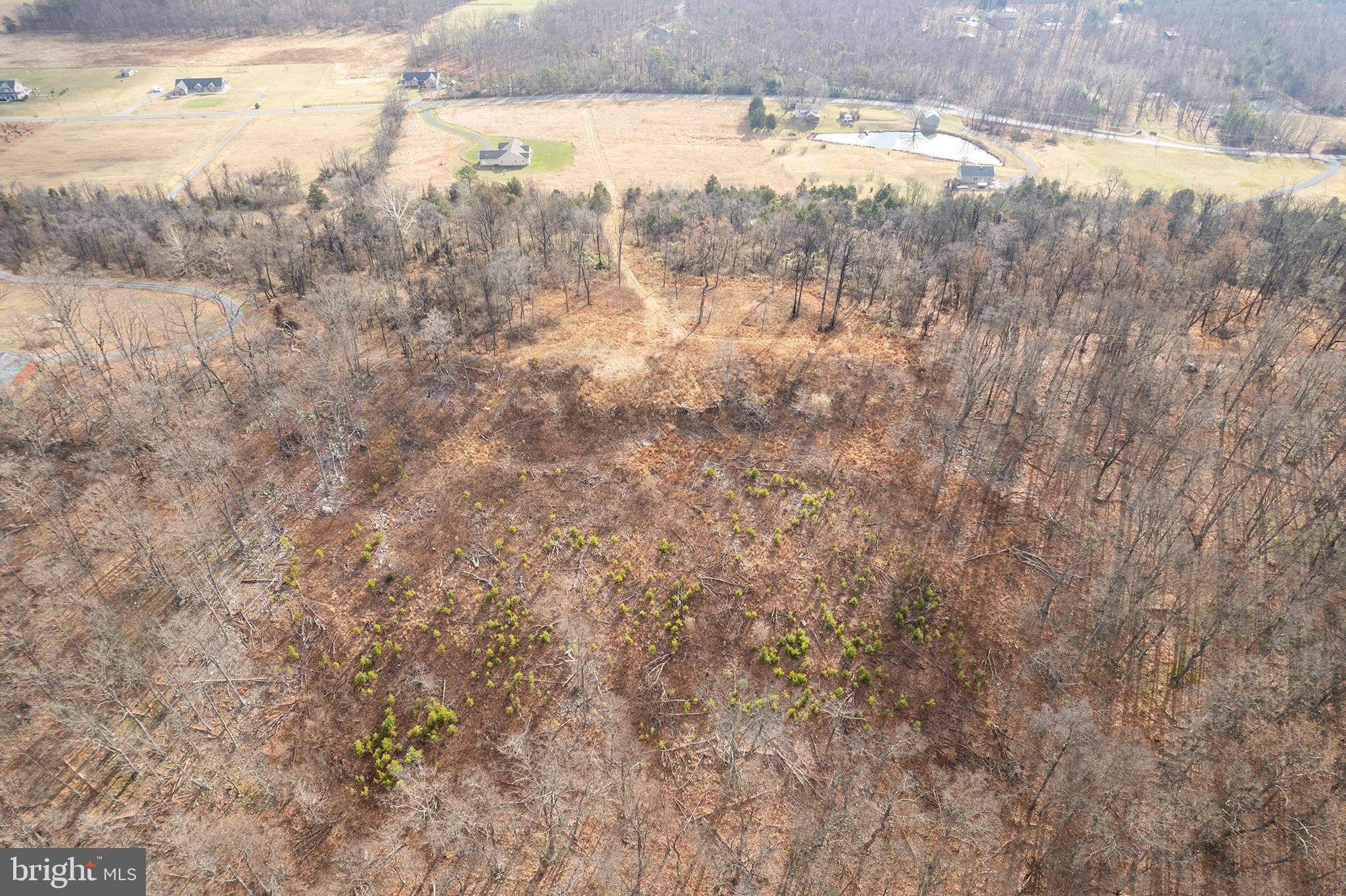 Back Mountain Road Winchester, VA 22602 - Photo 3 of 12