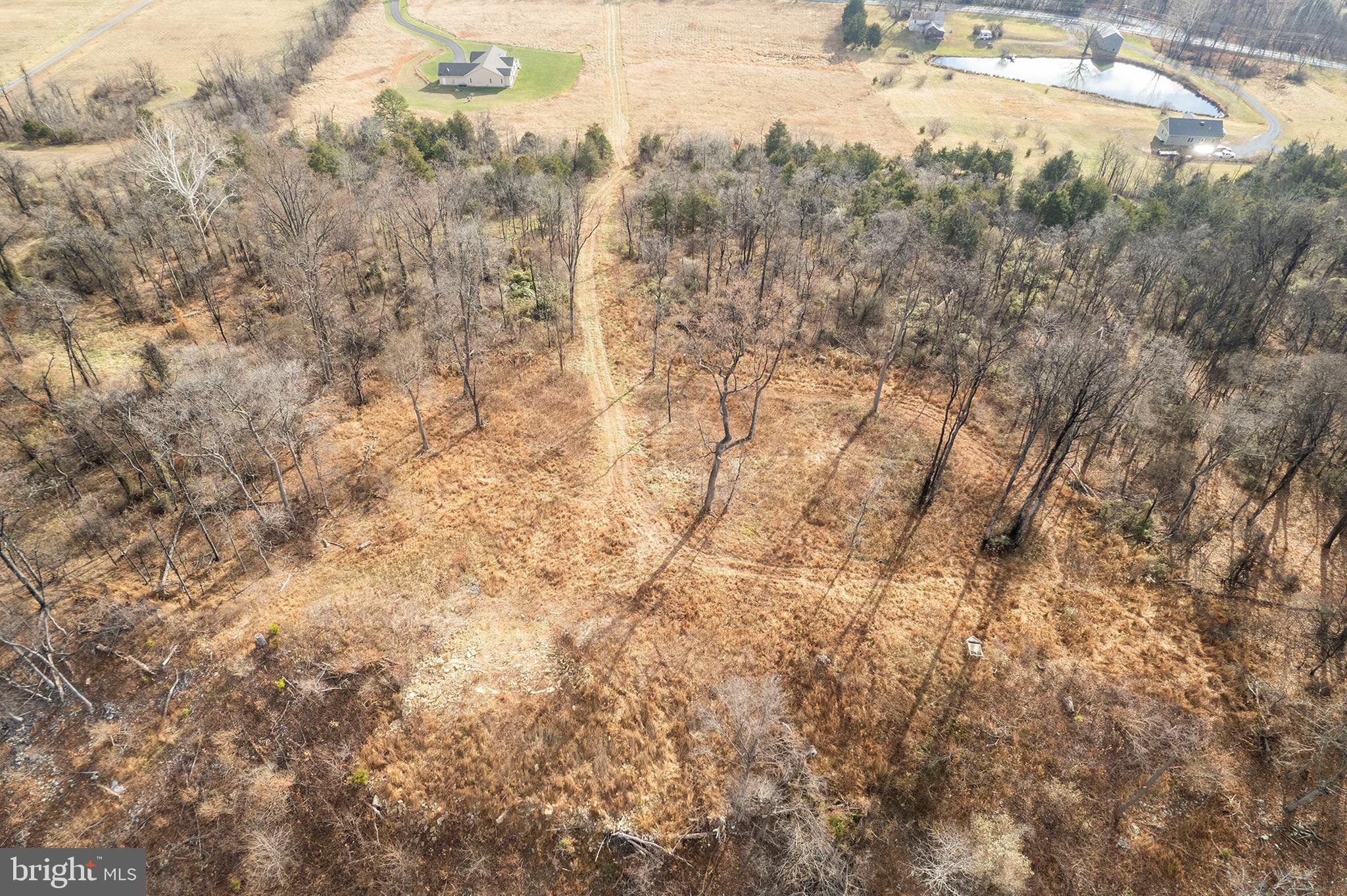 Back Mountain Road Winchester, VA 22602 - Photo 4 of 12 a view of a yard