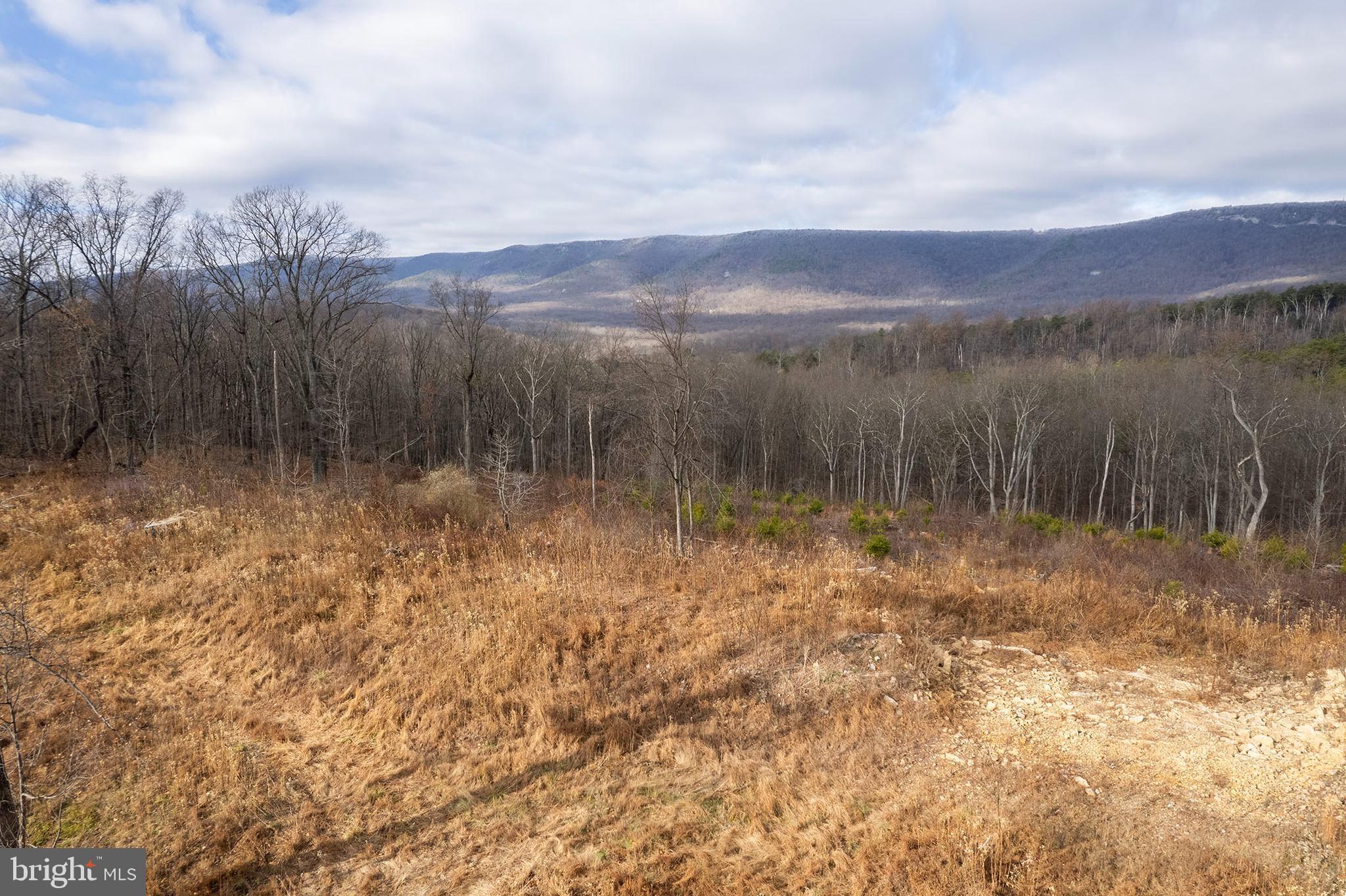Back Mountain Road Winchester, VA 22602 - Photo 5 of 12 a view of a lake with mountains in the background