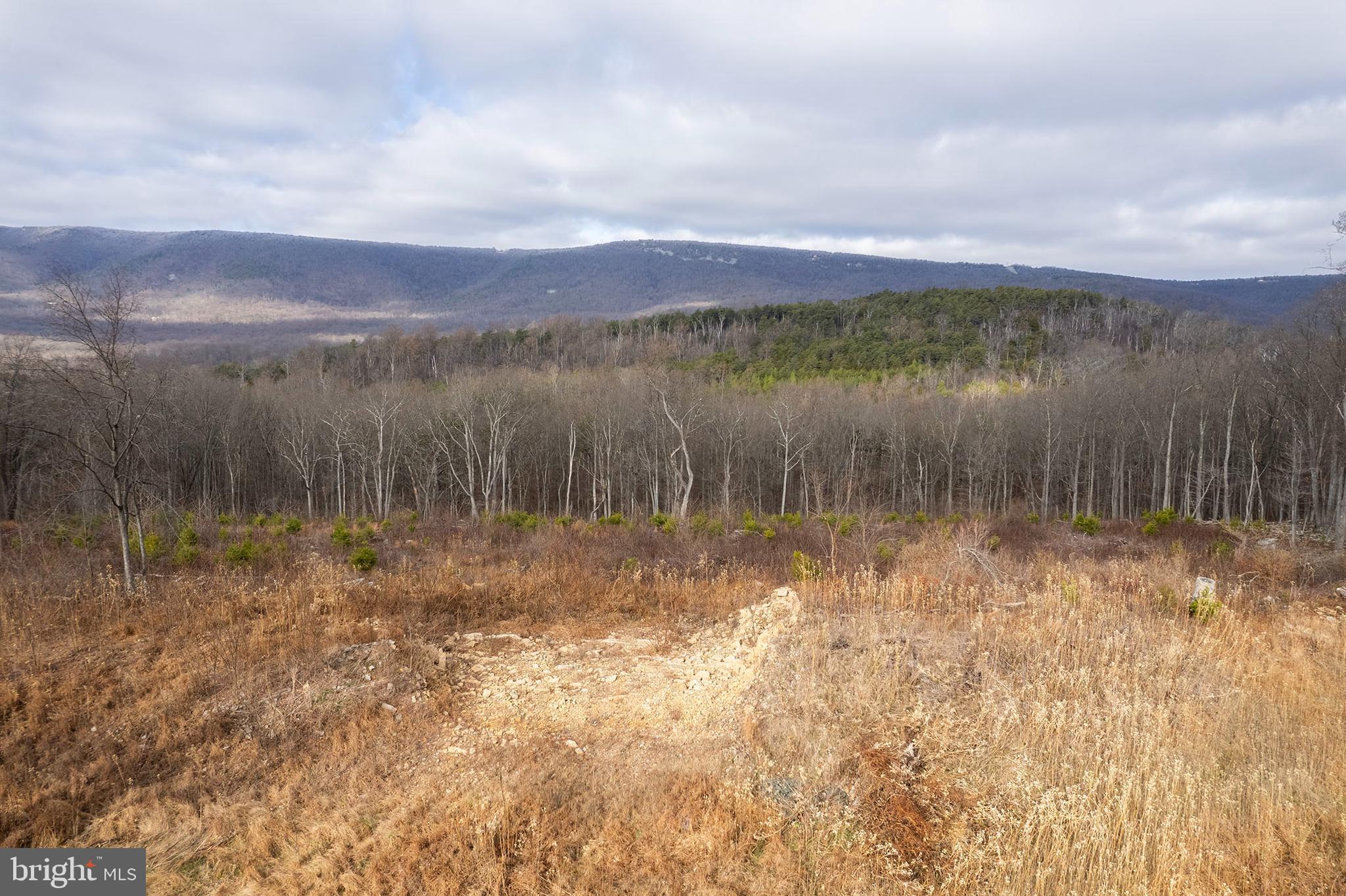 Back Mountain Road Winchester, VA 22602 - Photo 6 of 12 a view of lake with mountain