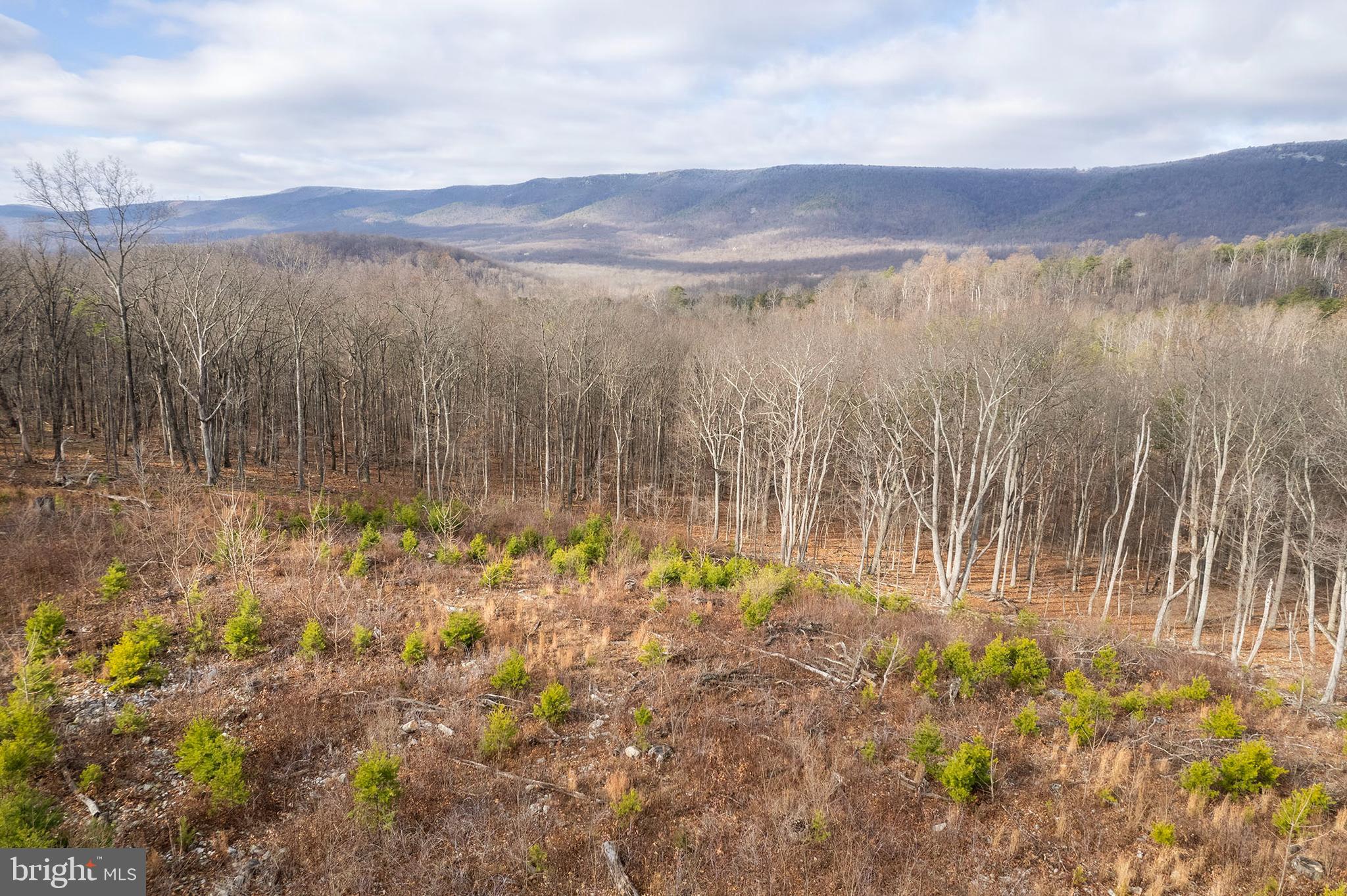 Back Mountain Road Winchester, VA 22602 - Photo 8 of 12 a view of lake with mountain