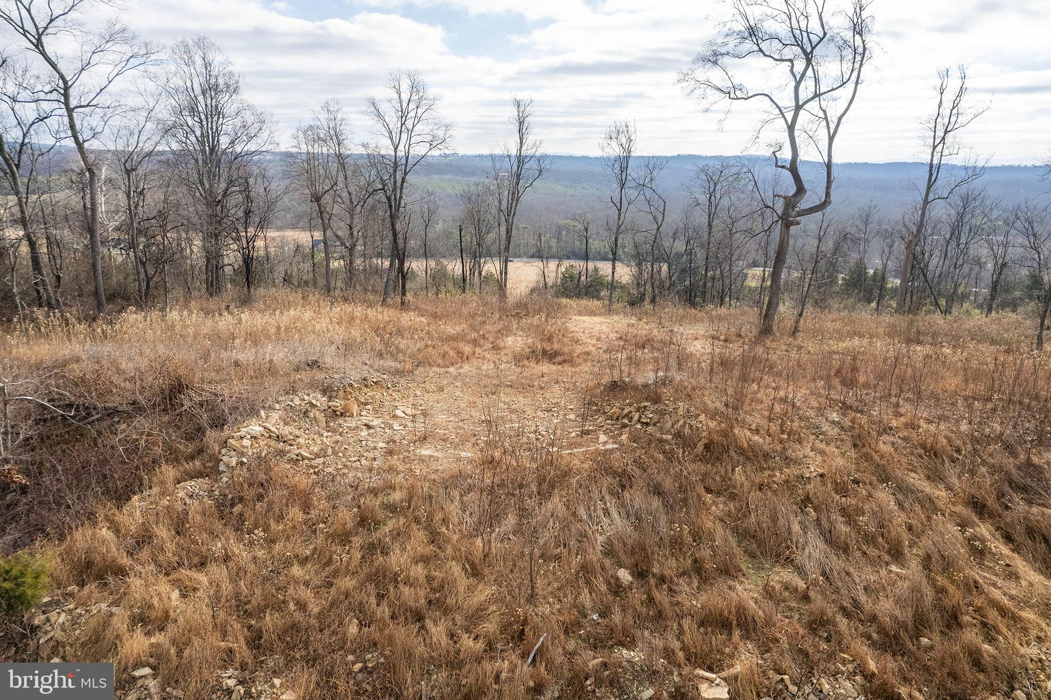Back Mountain Road Winchester, VA 22602 - Photo 9 of 12 a view of a backyard of the house