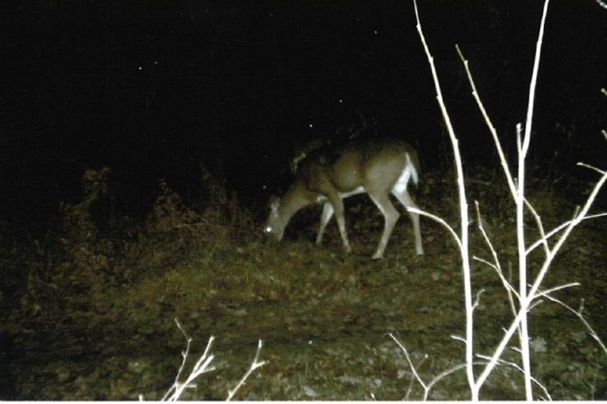 Off Of Lakeland Drive Rhinelander, WI 54501 - Photo 17 of 17 Gallery Image 17