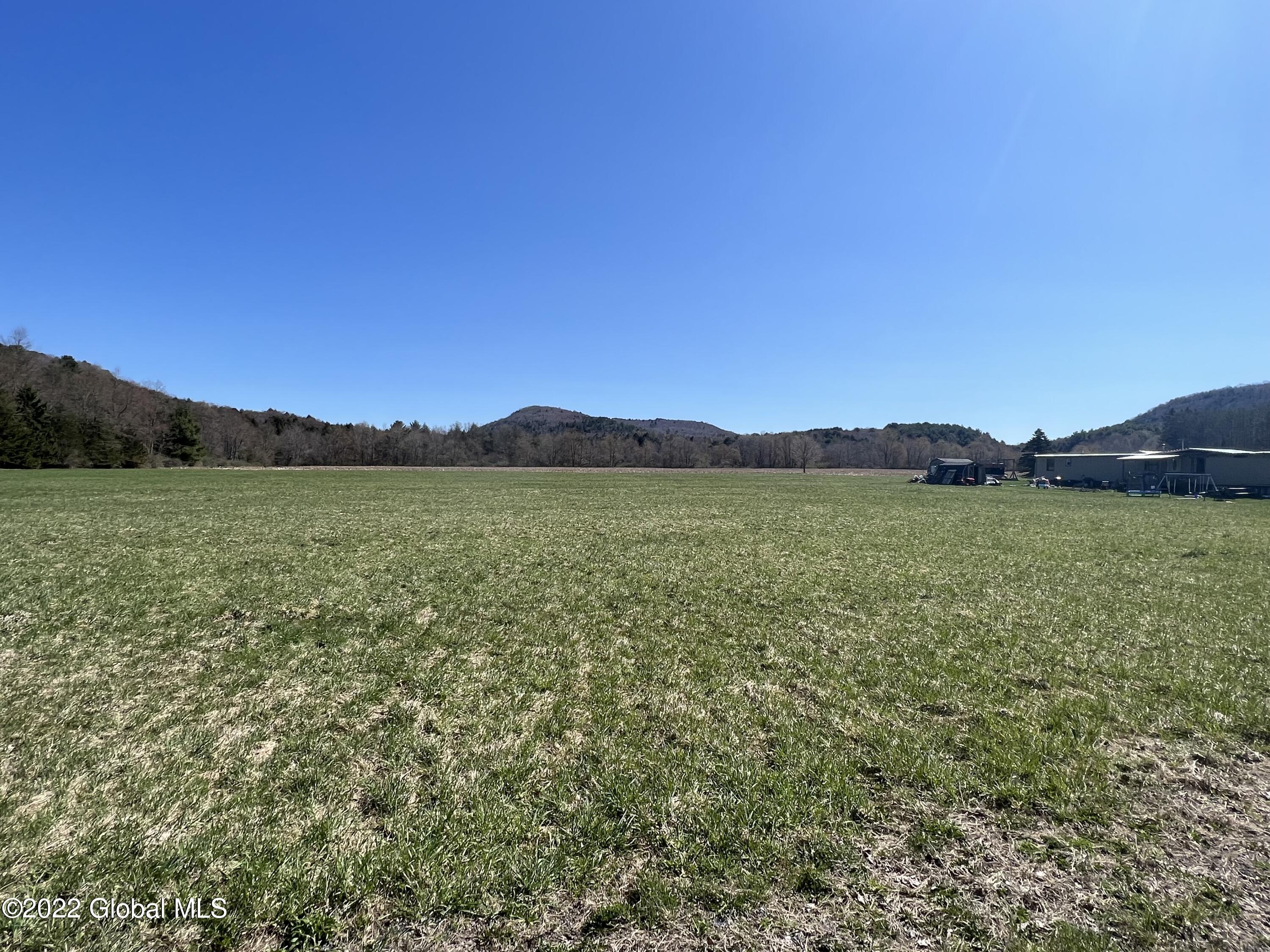 149 Clapper Hollow Road Summit, NY 12036 - Photo 2 of 3 IMG-7537