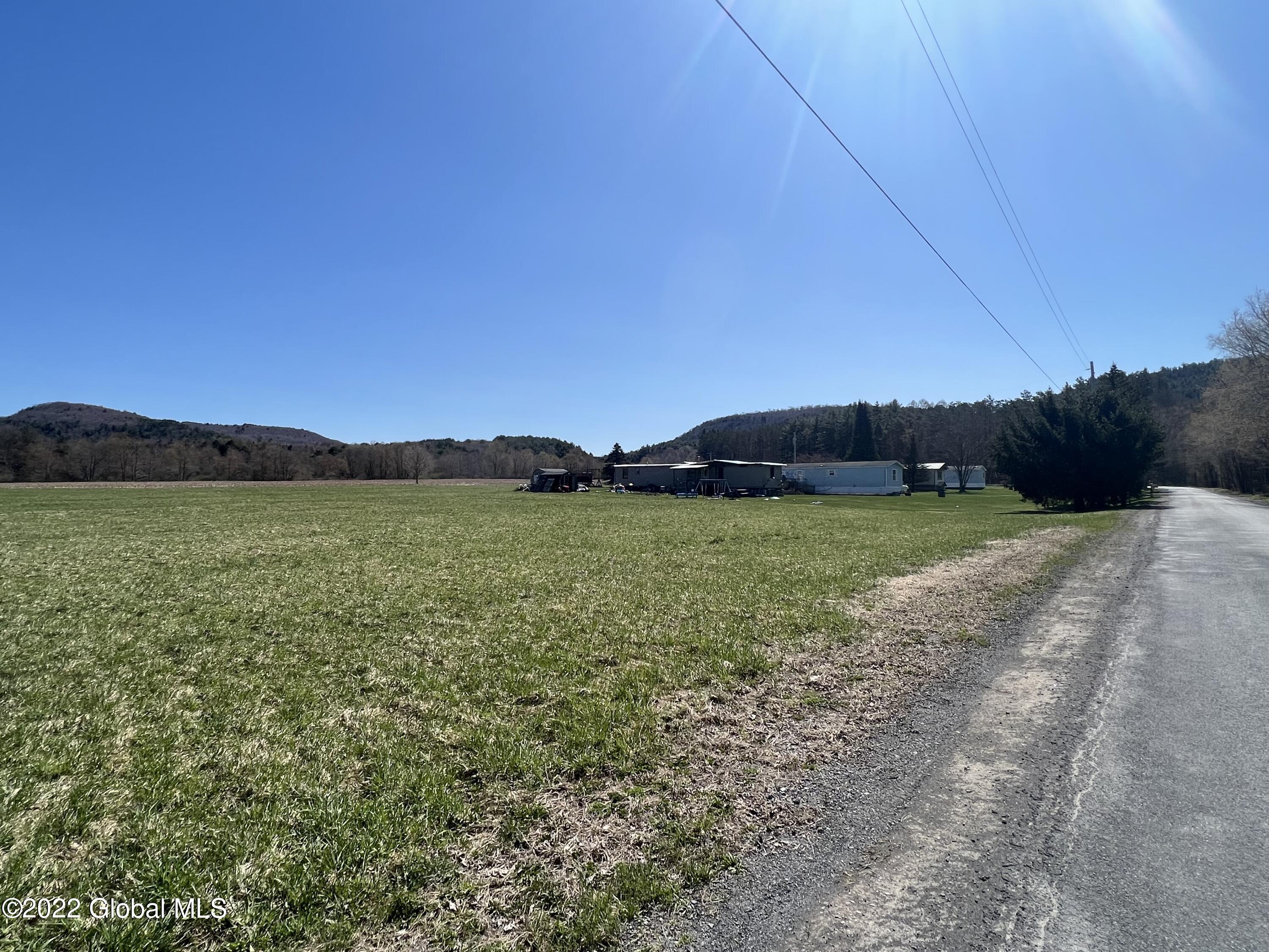 149 Clapper Hollow Road Summit, NY 12036 - Photo 3 of 3 IMG-7538