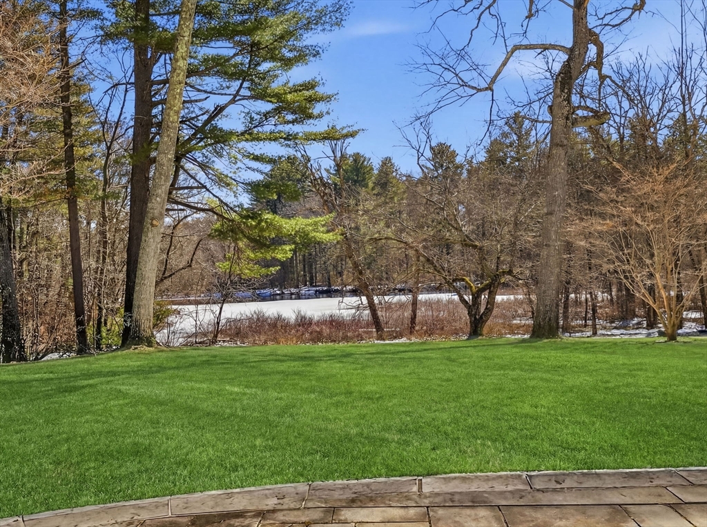 12 Winding River Circle Wellesley, MA 02482 - Photo 3 of 40 a view of a park with large trees